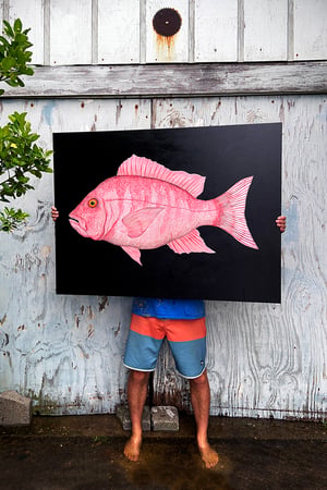 "Red Snapper" 