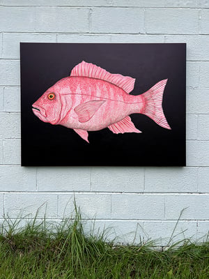"Red Snapper" 