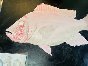 "Red Snapper" 