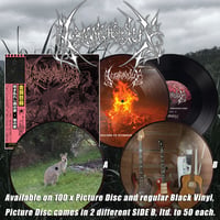 Image 2 of WAXGOAT417 Kommodus (Aus) - Dreams of Blossoming Rust - Picture MLP/MLP