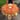Kniphofia Flower Fairy Tutu Dress: Orange & Yellow Tropical Costume