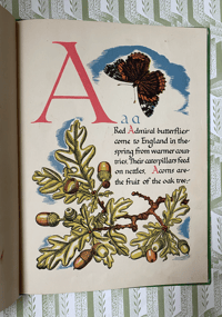 Image 8 of Nature's ABC by Eileen Mayo