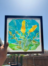 Lilies in the Sun
