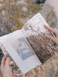 Image 4 of Field Notes in the Vortex