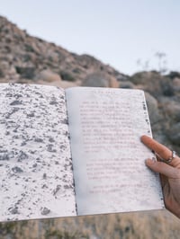 Image 5 of Field Notes in the Vortex