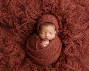 Image of Brushed Knit Set / fern & brick red
