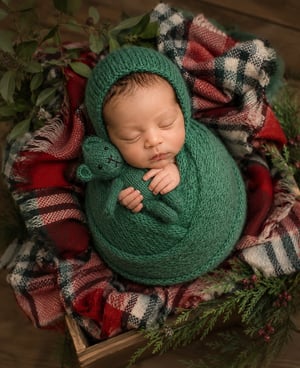 Image of Brushed Knit Set / fern & brick red