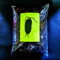 Image 1 of Isopod Substrate Mix 