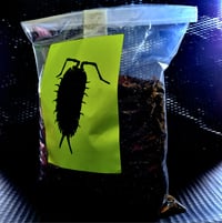 Image 6 of Isopod Substrate Mix 