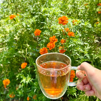 Image 2 of Warm Pause — Small Batch Herbal Tea Blend