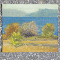 Image 3 of Lake Washington