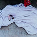 Image of (Wolfgang Tillmans) (Still Life)