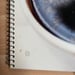 Image of (Wolfgang Tillmans) (Still Life)