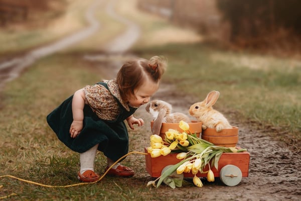 Image of  Sharp Farm mini workshop SEPT 8th
