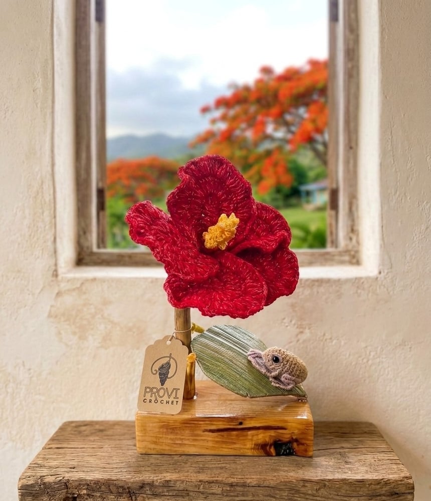 Image of Maga y Coqui Deco