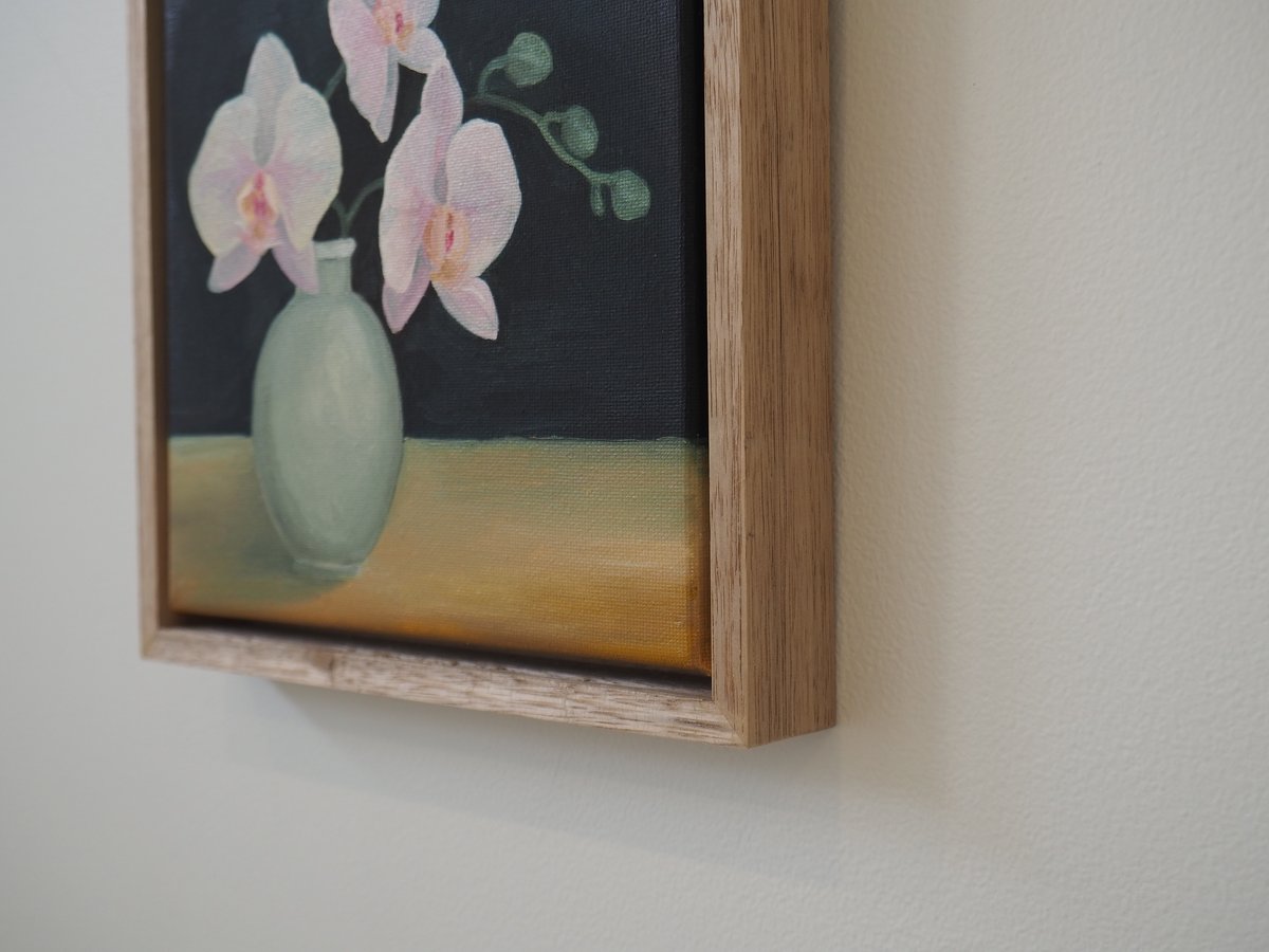 Image of White Orchids