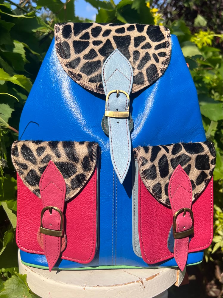 Image of Traditional coloured backpack -2 pkt #32B