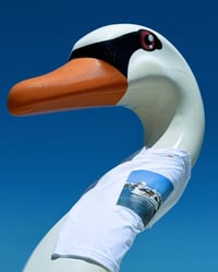 Image 3 of Cigno T-shirt