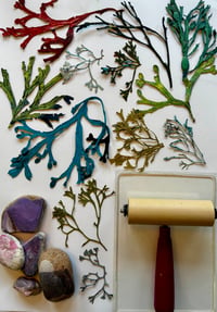 Image 1 of Gelliprinting with Seaweed on 01/08/26 at Clevedon Craft Centre  