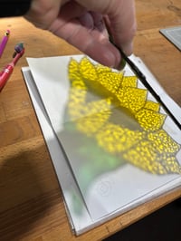 Image 1 of Sunflower