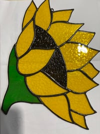 Image 2 of Sunflower