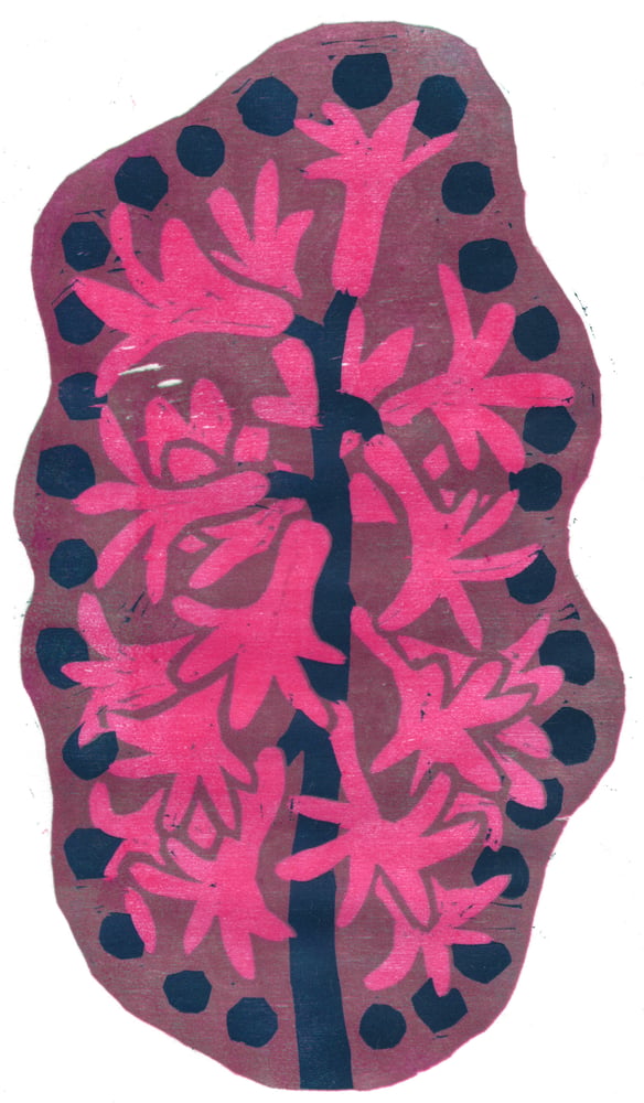 Image of Hyacinth