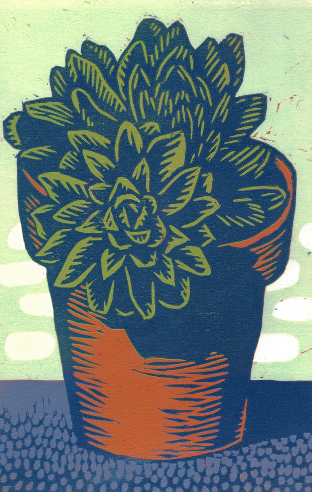 Image of A Moment in the Sun