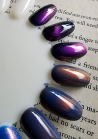 Image 20 of The Midnight Reader Society - Magnetic
