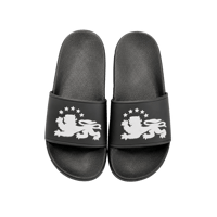 Image 1 of NIYT FLIP-FLOPS