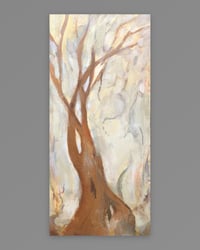 Enveloping Space