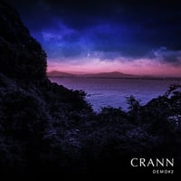 CRANN - Demo #2