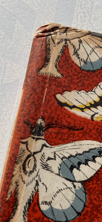 Image 2 of Some British Moths vintage King Penguin book 
