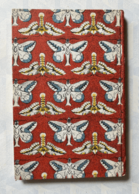 Image 16 of Some British Moths vintage King Penguin book 