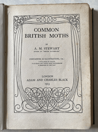 Image 8 of Common British Moths