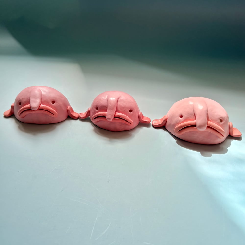Image of Beautiful Blobfish 