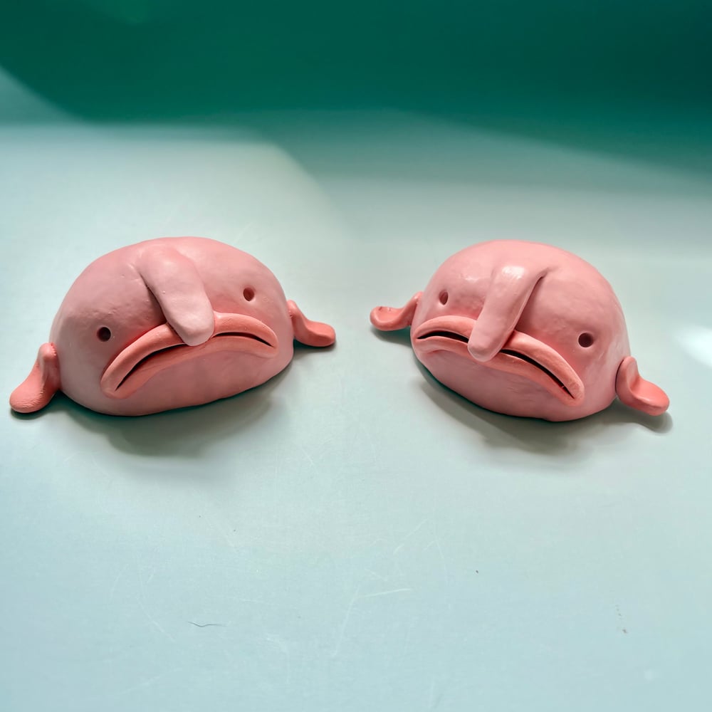 Image of Beautiful Blobfish 