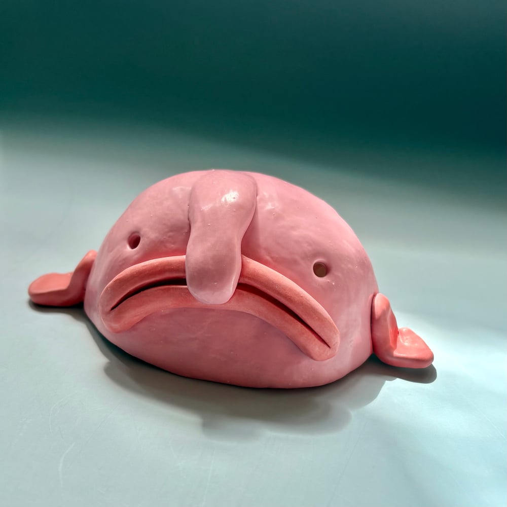 Image of Beautiful Blobfish 