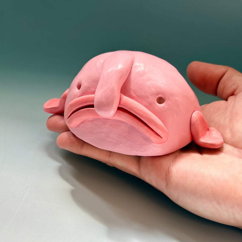 Image of Beautiful Blobfish 