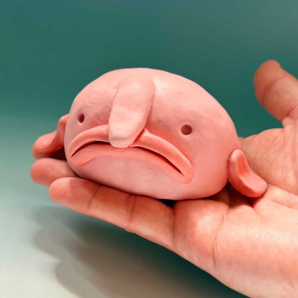 Image of Beautiful Blobfish 