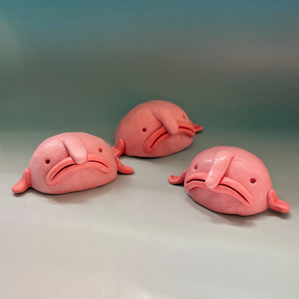 Image of Beautiful Blobfish 