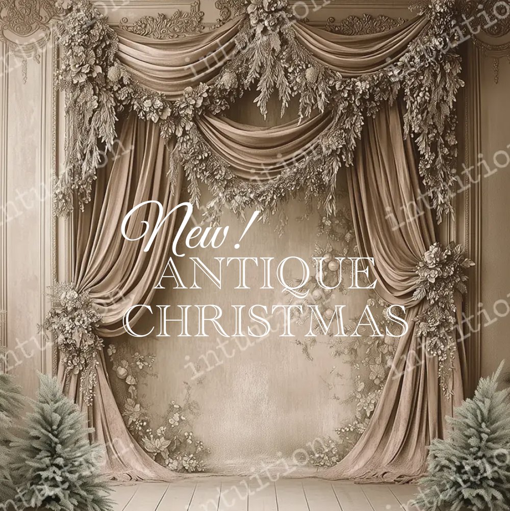 Image of Antique Christmas MINI Sessions (DEPOSIT)