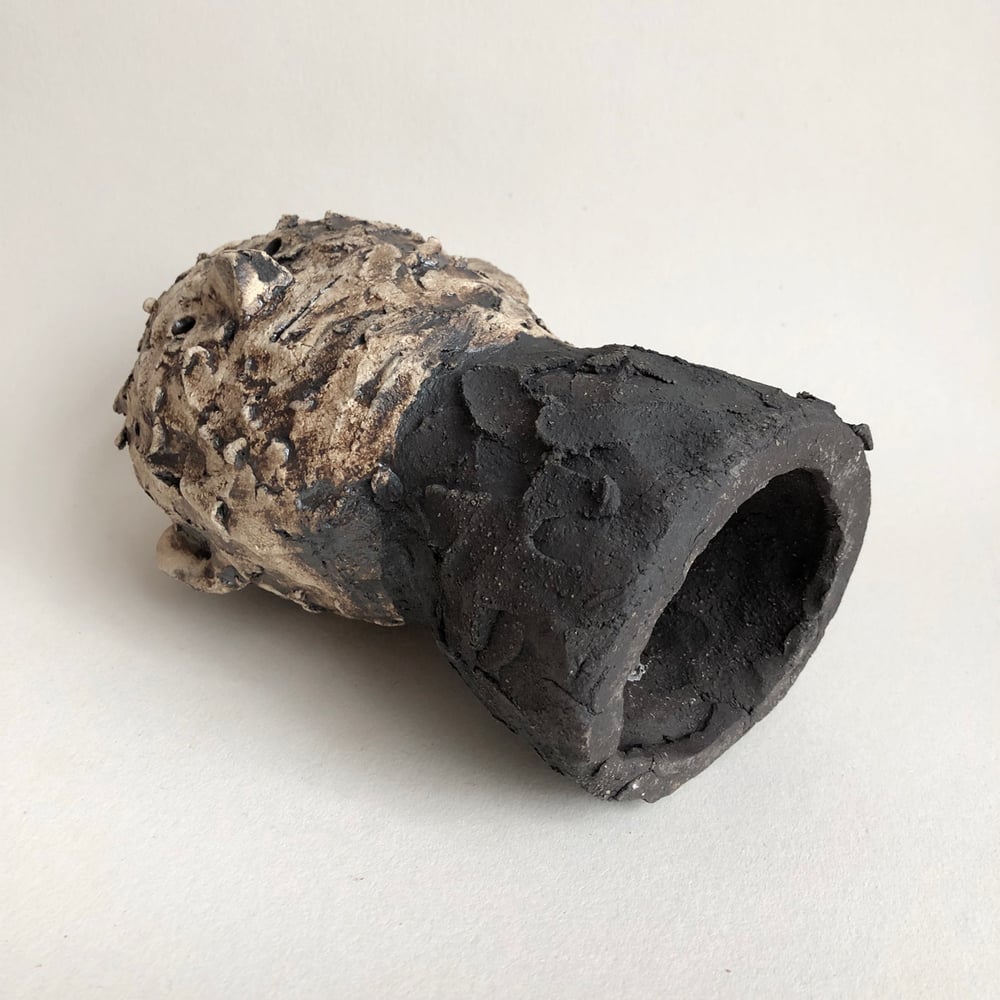 Image of Big Encrusted 