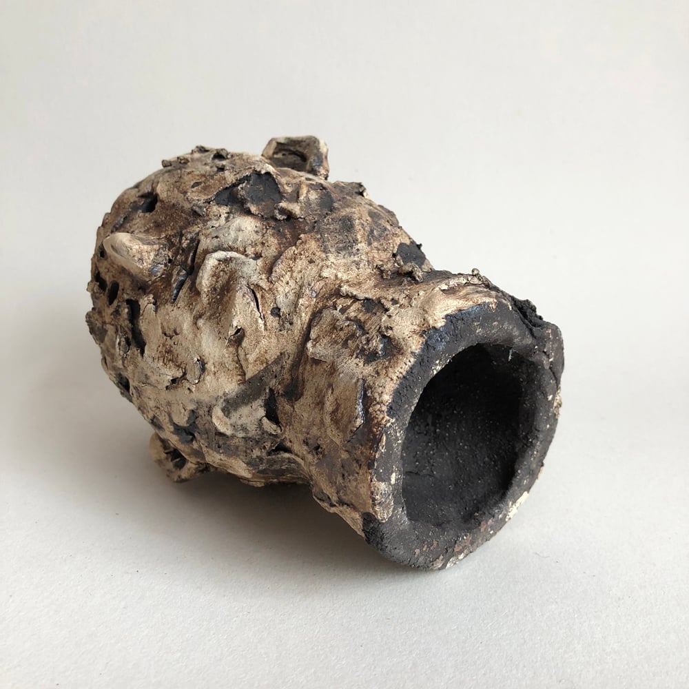 Image of Encrusted Head
