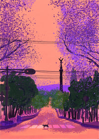 Jacarandas