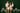 Christmas minis 2026 