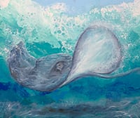 Ocean Wings