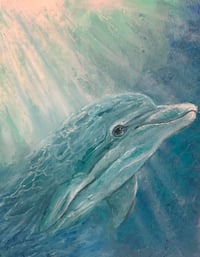 Dolphin Dreaming