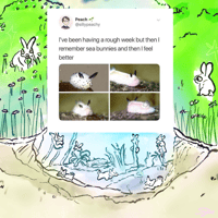 Image 3 of Sea bunny amongst bunnies Art Print 