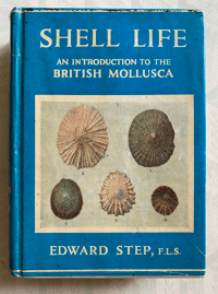 Image 1 of Shell Life by Edward Step