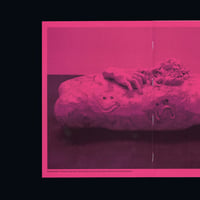 Image 3 of Hedwig Houben, 'For the Hand, the Eye, It and the Foot' (2017)